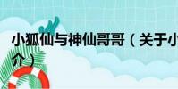 小狐仙與神仙哥哥(關于小狐仙與神仙哥哥簡介)