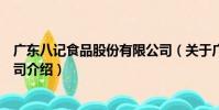 廣東八記食品股份有限公司(關于廣東八記食品股份有限公司介紹)