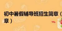 初中暑假輔導班招生簡章(初中輔導班招生簡章)