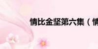情比金堅第六集(情比金堅)