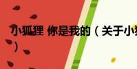 小狐貍 你是我的(關于小狐貍 你是我的簡介)