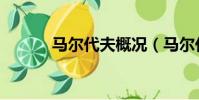 馬爾代夫概況(馬爾代夫報價)