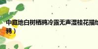 中庭地白樹棲鴉冷露無聲濕桂花描繪的畫面(中庭地白樹棲鴉)
