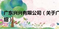 廣東興興有限公司(關于廣東興興有限公司介紹)