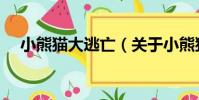 小熊貓大逃亡(關于小熊貓大逃亡簡介)