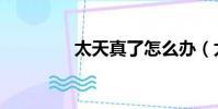 太天真了怎么辦(太天真)