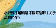 小爺我才是原配 不服來戰啊(關于小爺我才是原配 不服來戰啊簡介)