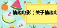 情趣電影(關于情趣電影的簡介)