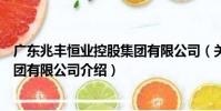 廣東兆豐恒業控股集團有限公司(關于廣東兆豐恒業控股集團有限公司介紹)