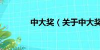 中大獎(關于中大獎的簡介)