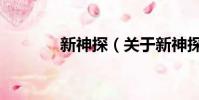 新神探(關于新神探的簡介)