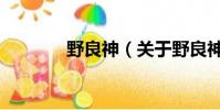 野良神(關于野良神的簡介)