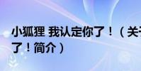 小狐貍 我認定你了!(關于小狐貍 我認定你了!簡介)