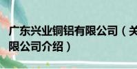 廣東興業銅鋁有限公司(關于廣東興業銅鋁有限公司介紹)