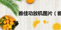 雅佳功放機圖片(雅佳功放)