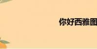 你好西雅圖