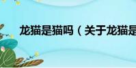 龍貓是貓嗎(關于龍貓是貓嗎的簡介)