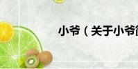 小爺(關于小爺簡介)