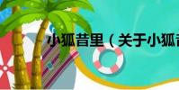 小狐昔里(關于小狐昔里簡介)