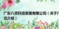 廣東八靈科技發展有限公司(關于廣東八靈科技發展有限公司介紹)