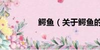 鱷魚(關于鱷魚的簡介)