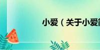 小愛(關于小愛簡介)