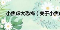 小焦慮大恐怖(關于小焦慮大恐怖簡介)