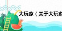 大玩家(關于大玩家的簡介)
