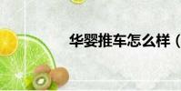華嬰推車怎么樣(華嬰)