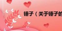 錘子(關于錘子的簡介)