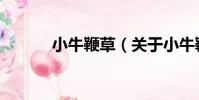 小牛鞭草(關于小牛鞭草簡介)