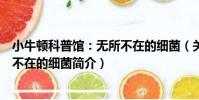 小牛頓科普館:無所不在的細菌(關于小牛頓科普館:無所不在的細菌簡介)