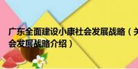 廣東全面建設小康社會發展戰略(關于廣東全面建設小康社會發展戰略介紹)