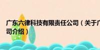 廣東六律科技有限責任公司(關于廣東六律科技有限責任公司介紹)