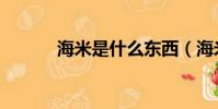 海米是什么東西(海米是什么)