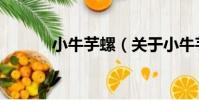 小牛芋螺(關于小牛芋螺簡介)