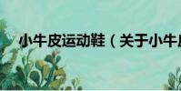 小牛皮運動鞋(關于小牛皮運動鞋簡介)