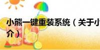 小熊一鍵重裝系統(關于小熊一鍵重裝系統簡介)