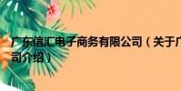 廣東信匯電子商務有限公司(關于廣東信匯電子商務有限公司介紹)