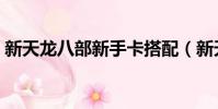新天龍八部新手卡搭配(新天龍八部新手卡)