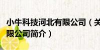 小牛科技河北有限公司(關于小牛科技河北有限公司簡介)