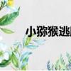 小獼猴逃脫（關于小獼猴逃脫簡介）