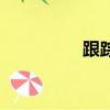 跟蹤（關于跟蹤的簡介）
