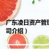 廣東凌日資產管理有限公司（關于廣東凌日資產管理有限公司介紹）