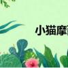 小貓摩西（關于小貓摩西簡介）