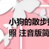 小狗的散步執照 注音版（關于小狗的散步執照 注音版簡介）