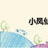 小鳳仙（關于小鳳仙的簡介）