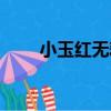 小玉紅無耔（關于小玉紅無耔簡介）