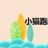 小貓跑酷（關于小貓跑酷簡介）