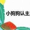 小狗狗認主人（關于小狗狗認主人簡介）